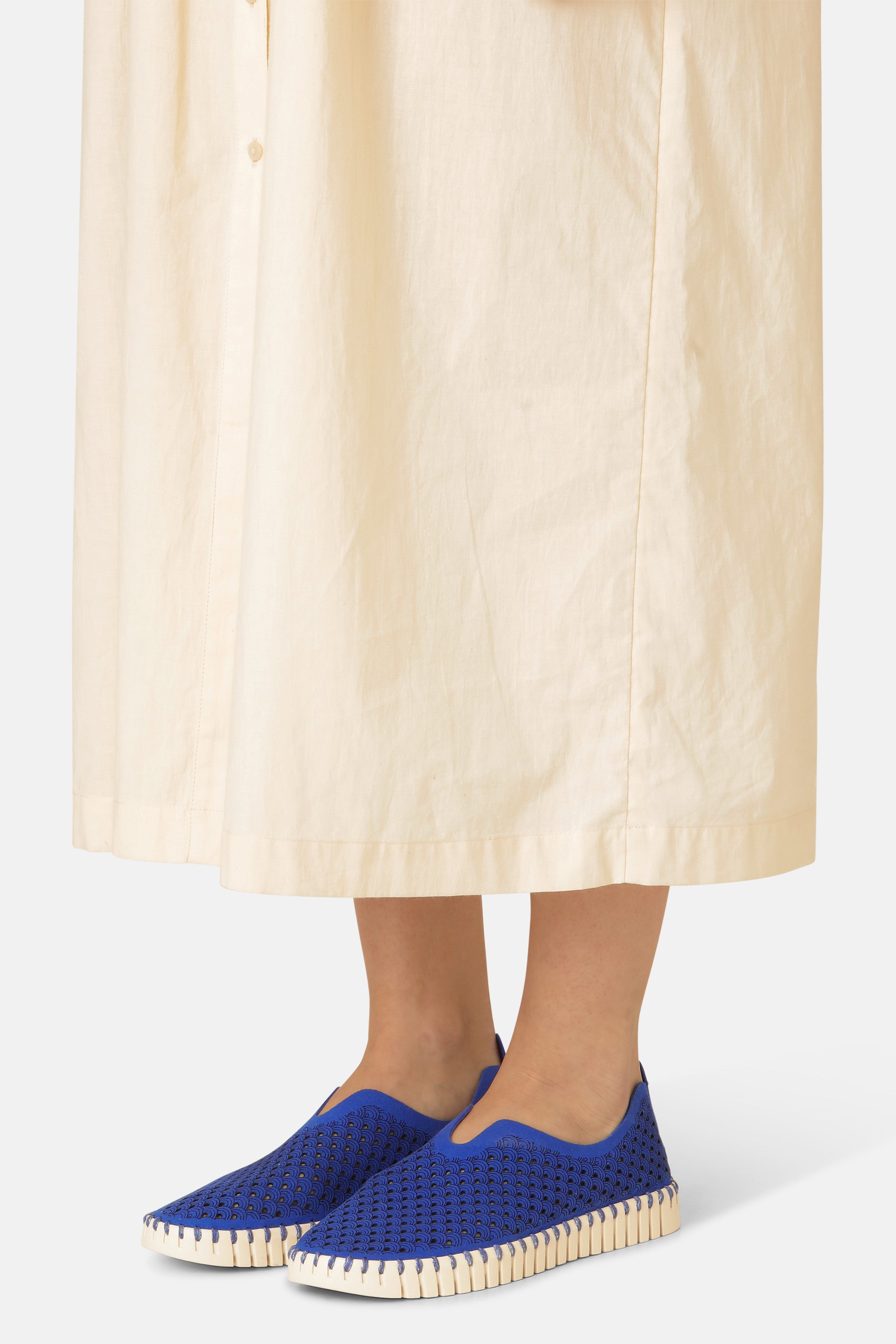 Tulip Skor - Blue Web